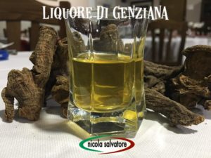 liquore-di-genziana-nicola-salvatore